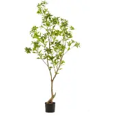 Emerald Tea leaf tree 185 cm kunstplant
