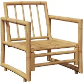 vidaXL Tuinstoelen 2 st met kussens bamboe