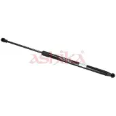 ASHIKA ZSAW0010 Gasveer achterklep