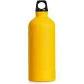 Salewa Isarco Lightweight 600ml Fles