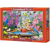 Castorland Rhythm of Nature – Puzzel – 2.000 stukjes – Satijnen afwerking – Perfecte pasvorm – Europese kwaliteit