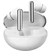 Haylou Flowbuds N55 Draadloze Oordopjes