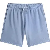 Tommy Hilfiger Heren Sweat Shorts (Blauw)
