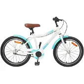 vidaXL Kinderfiets, 20 inch, geschikt voor kinderen van 6-11 jaar, hemelsblauw