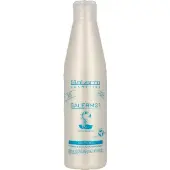 Salerm 21 Silk Protein Leave-in 250ml Conditioner