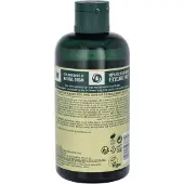 The Body Shop Moringa Shower Gel - 250ml