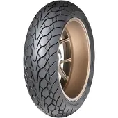Dunlop Mutant zomerband 110/70 ZR17 54W, motorband, toeristisch sportmodel, M+S band