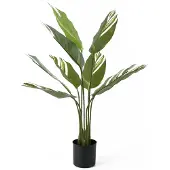 PT Living Kunstplant Calathea Green White