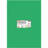 Folia Papier - Hobbypapier - Fotokarton - 50x70cm - 300g - Smaragd groen - 10 stuks