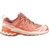 Salomon Xa Pro 3d V9 Gore-tex Trailschoenen
