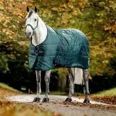 Amigo Ripstop Isolerende Deken Stable 200g Dynasty Groen/Marineblauw & Zilver 115