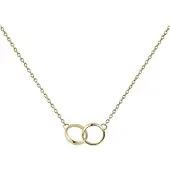 Daniel Wellington Elan - Dames Ketting - goudkleurig