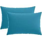 vidaXL Kussensloop 2 st HEERLEN Lichtblauw 40 x 60 cm Polyester