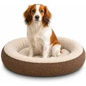 Belviona Donut hondenbed Ø65 cm, zacht, knus & wasbaar, bruin