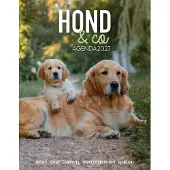 Edicola Hond & Co Agenda 2027