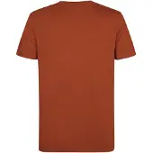 Petrol Industries Shirt 'Windward' kreeft