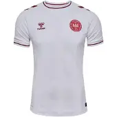 Hummel Heren 2025 Denemarken uittenue (Wit)