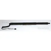 TRISCAN 8710 29342 Gasveer achterklep