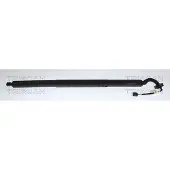 TRISCAN 8710 27316 Gasveer achterklep