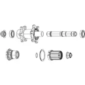 Zipp Zm2 Rear Set Axle End Cap Bus