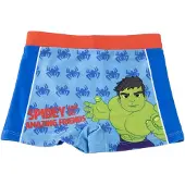 Cerda Spiderman Spidey Zwemboxer