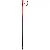 Rossignol Hero Carbon Aramidic Lining Stokken