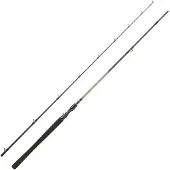Daiwa Exceler Baitcasting Rod Zilver 2.21 m / 100 g