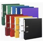 Exacompta EXA ORDNER PVC MET. RAND D80 A4 PASTEL GROEN