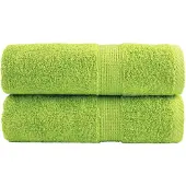 vidaXL Premium washandjes SOLUND 2 st appelgroen 30x30 cm 600 g/m2