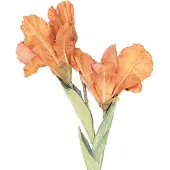 Clayre & Eef Kunstbloem 85 cm Oranje Kunststof