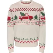 Only & Sons Trui 'ONSX-MAS 1' beige / groen / rood