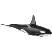 Animal planet Animal Planet: Orca's