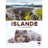 Delachaux et niestlé ISLANDE LE DERNIER PARADIS SAUVAGE