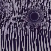 Import Sunn O))) - The Grimmrobe Demos (CD)