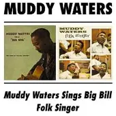 Import Sings Big Bill/Folk Singer
