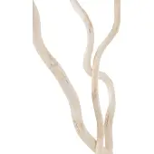 J-Line droogbloem - riet - wit - large - 3 stuks