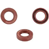 Rms Classic Piaggio Vespa Pk 50cc 289306 100662000 Krukasoliekeerringen 10 Eenheden