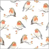 Ambiente Servetten Robin Family 33cm