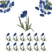 Famanu – Natuurlijke gedroogde bloemen in blauw voor sieraden en kaarten