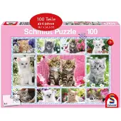 Schmidt Kittens. Puzzel van 100 stukjes