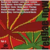 Import Reggae now 4/various