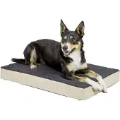 Kerbl Hondenmatras met traagschuim 80x50 cm beige en grijs 80326 online kopen