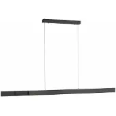 Paul Neuhaus Strakke hanglamp Pure Lume antraciet
