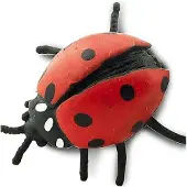 Safari Ltd Ladybugs Good Luck Minis Figure Rood From 3 Years Kinderen