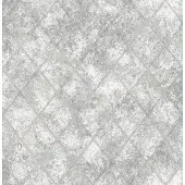 Dutch Wallcoverings Reclaimed Mercury Glass zilver behang (vliesbehang, zilver)