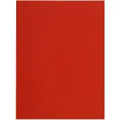 Exacompta Flash inlegmap karton A4 rood (100 stuks)