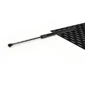 RIDEX 219G1873 Gasveer achterklep