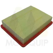 MOTAQUIP LVFA1769 Luchtfilter