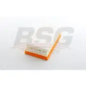 BSG 70-135-042 Luchtfilter