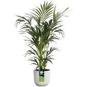 Elho All-in-1 Vibes Rond 25 + Swi 24 - Bloempot met Watermeter - 100% Gerecycled Plastic - Ø 25 cm - Linnen wit
